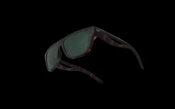 Gafas de sol Arena OCEANID AOC