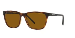 Gafas de sol Arnette 0AN4291