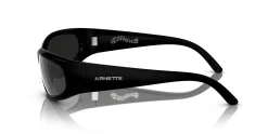 Gafas de sol Arnette CATFISH 0AN4302