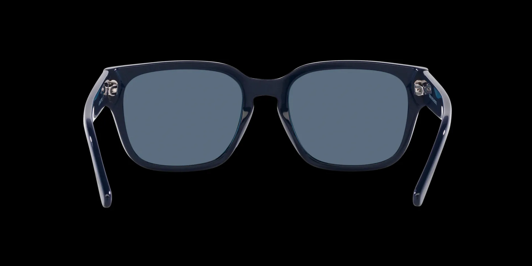 Gafas de sol Arnette TYPE Z 0AN4294