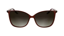 Gafas de sol Calvin Klein CK25504S