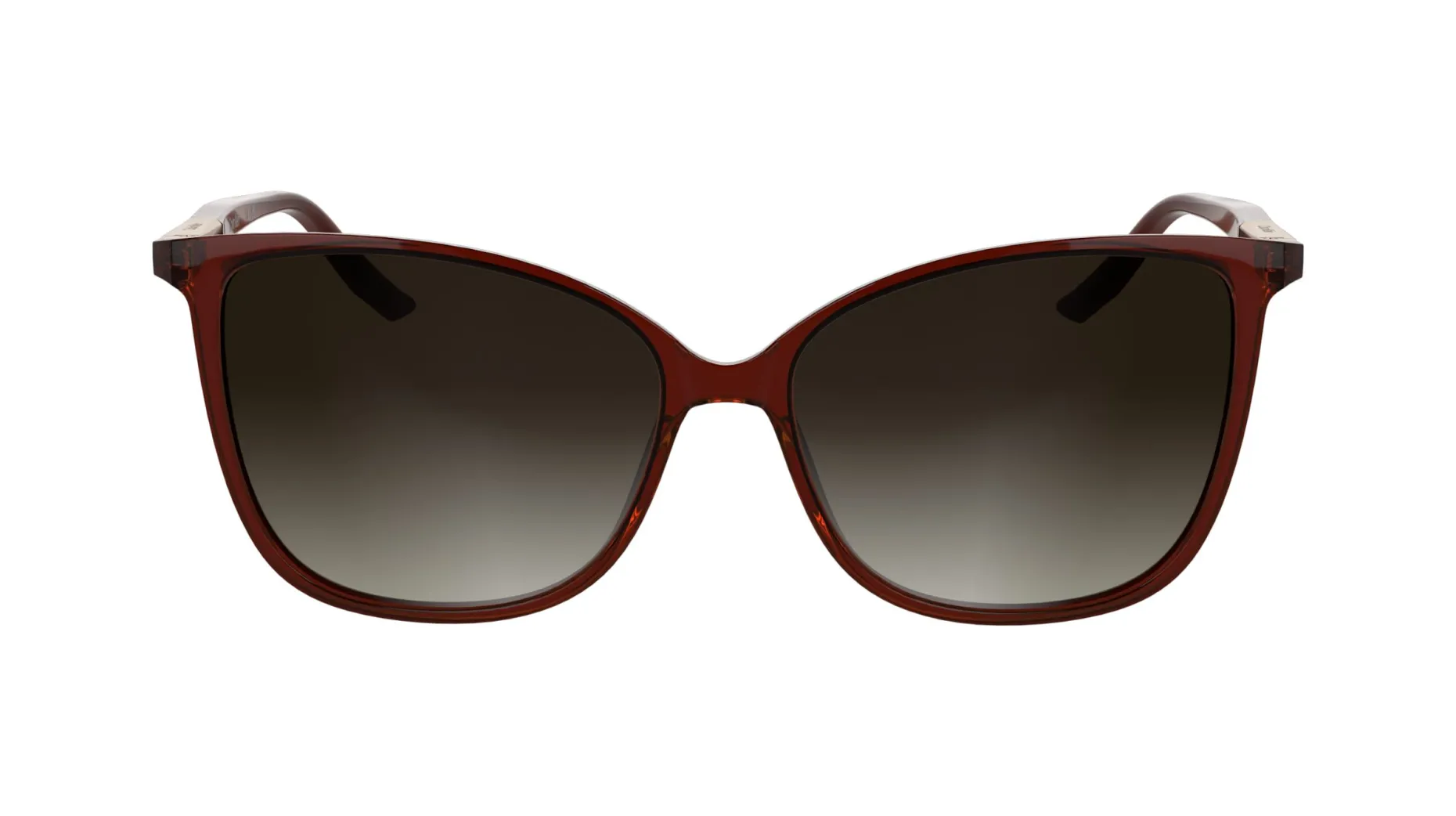 Gafas de sol Calvin Klein CK25504S