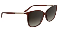 Gafas de sol Calvin Klein CK25504S