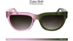 Gafas de sol Calvin Klein CKJ25600S