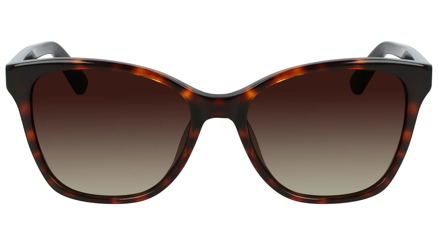 Gafas de sol Calvin Klein CK21529S