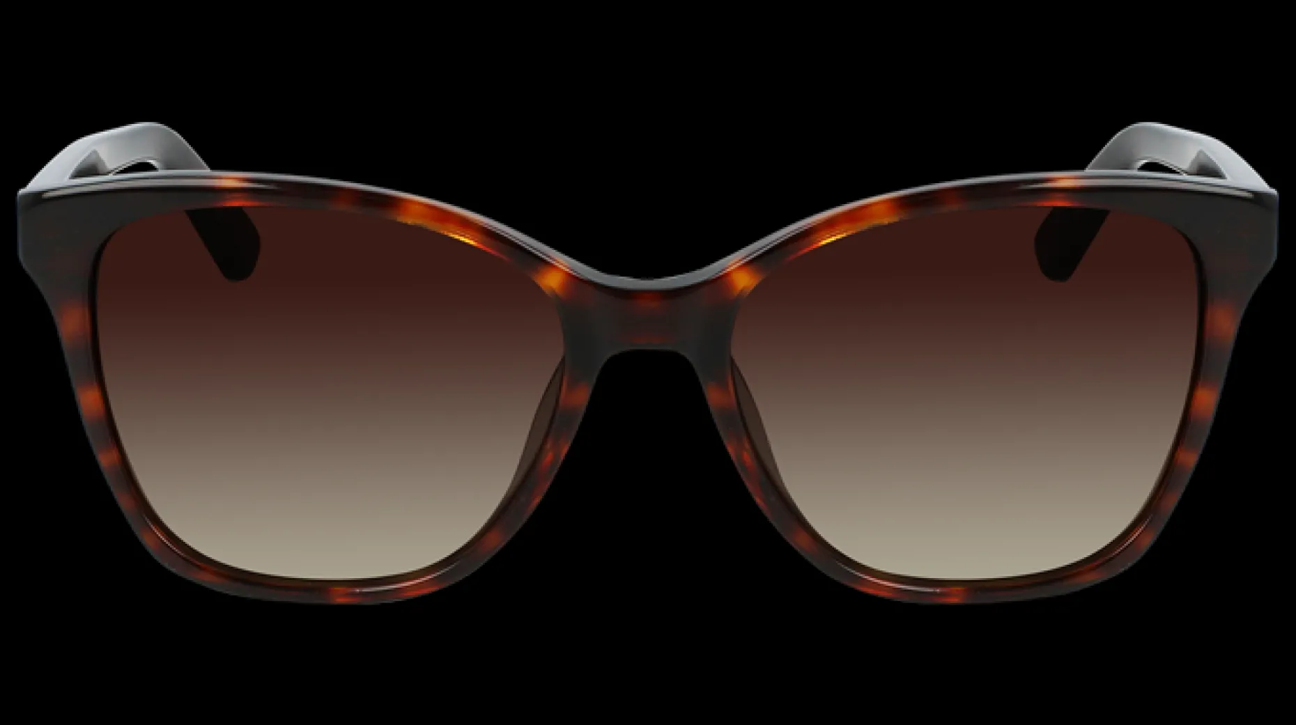 Gafas de sol Calvin Klein CK21529S