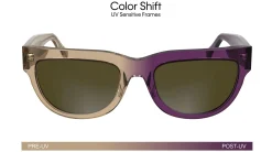 Gafas de sol Calvin Klein CKJ25600S