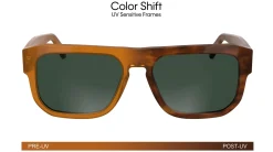 Gafas de sol Calvin Klein CKJ24607S