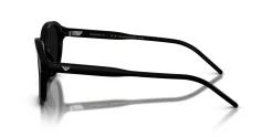 Gafas de sol Emporio Armani 0EA4247U