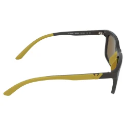 Gafas de sol Emporio Armani 0EA4249U