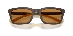 Gafas de sol Emporio Armani 0EA4249U
