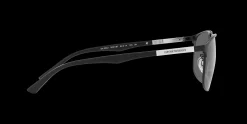 Gafas de sol Emporio Armani 0EA2094