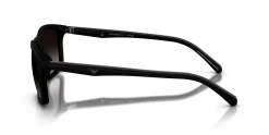 Gafas de sol Emporio Armani 0EA4257U