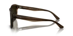 Gafas de sol Emporio Armani 0EA4208