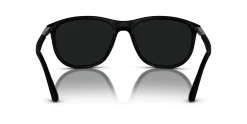 Gafas de sol Emporio Armani 0EA4201
