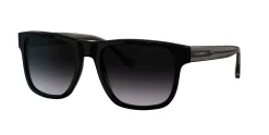Gafas de sol Emporio Armani 0EA4163
