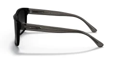 Gafas de sol Emporio Armani 0EA4163