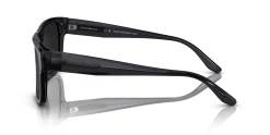 Gafas de sol Emporio Armani 0EA4197