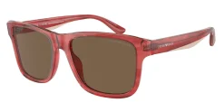 Gafas de sol Emporio Armani 0EA4208
