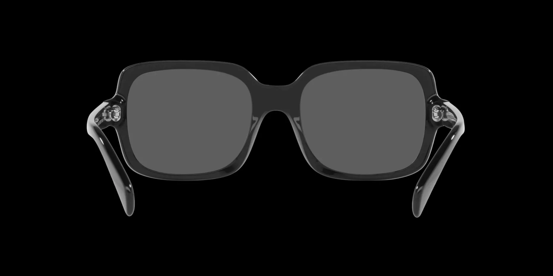 Gafas de sol Emporio Armani 0EA4195