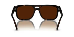 Gafas de sol Emporio Armani 0EA4197