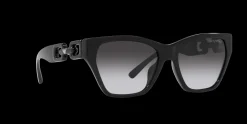 Gafas de sol Emporio Armani 0EA4203U