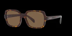 Gafas de sol Emporio Armani 0EA4195