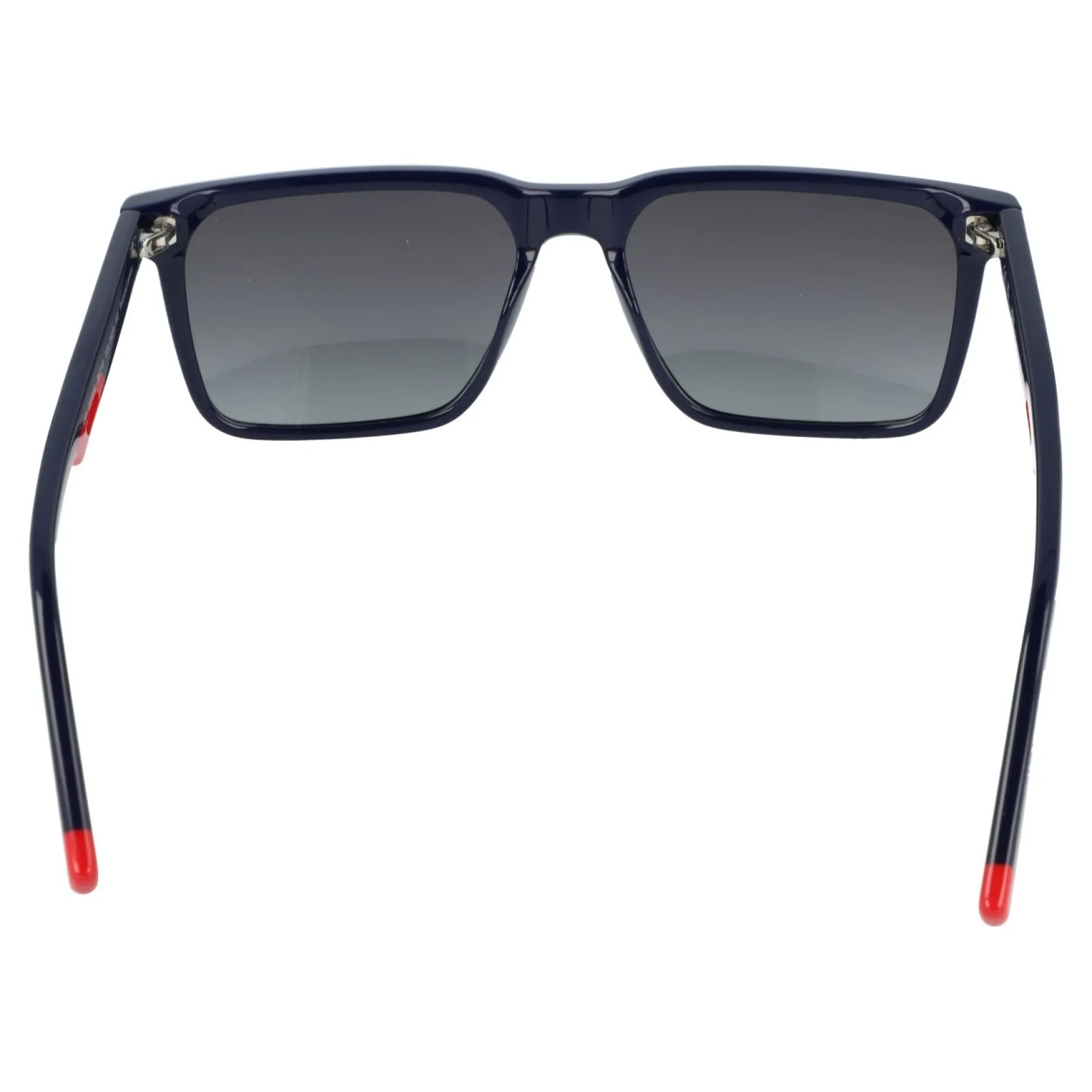 Gafas de sol Fila SFIB06