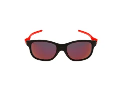 Gafas de sol Julbo ARCADE J556