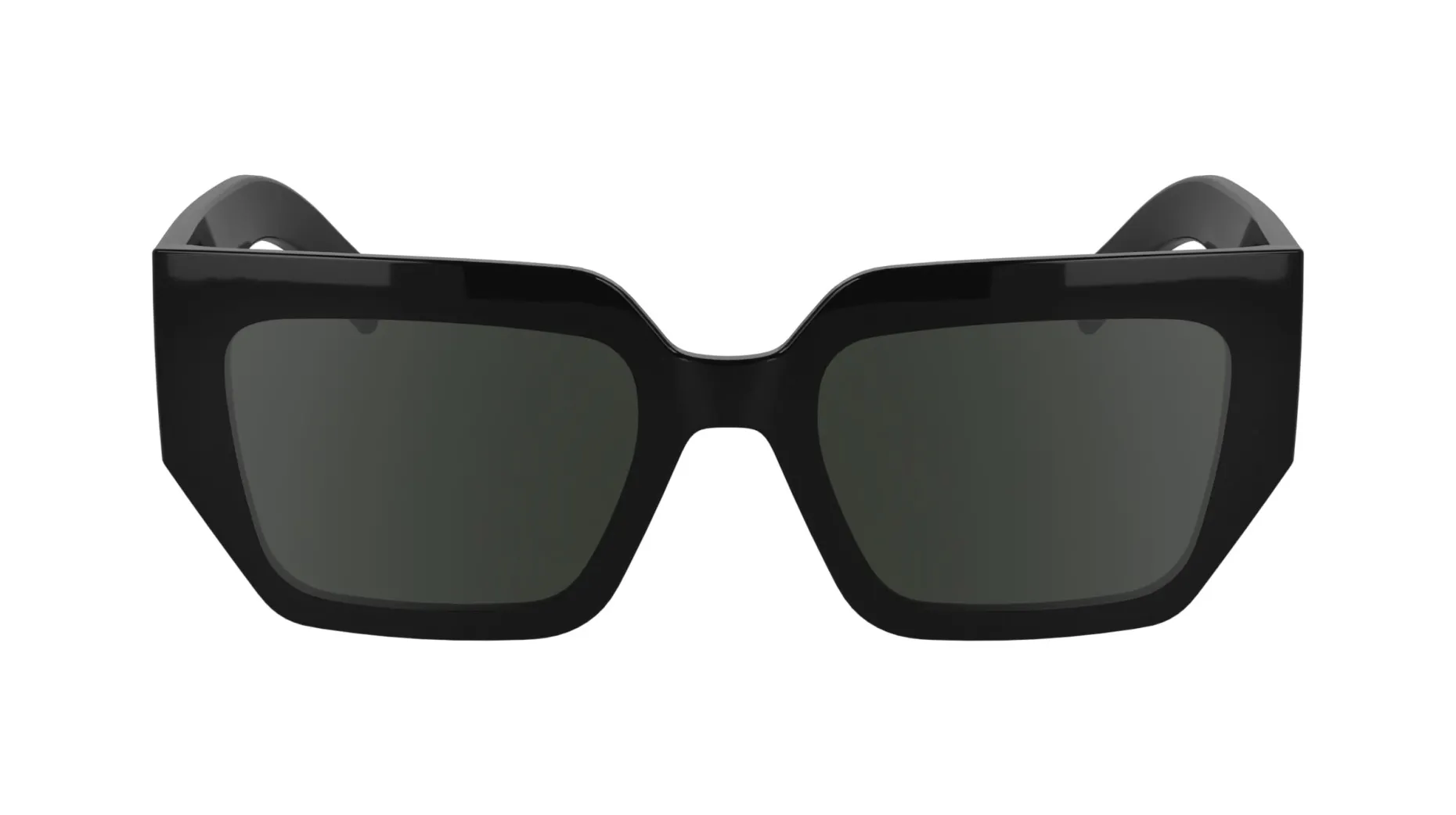 Gafas de sol Karl Lagerfeld KL6166S