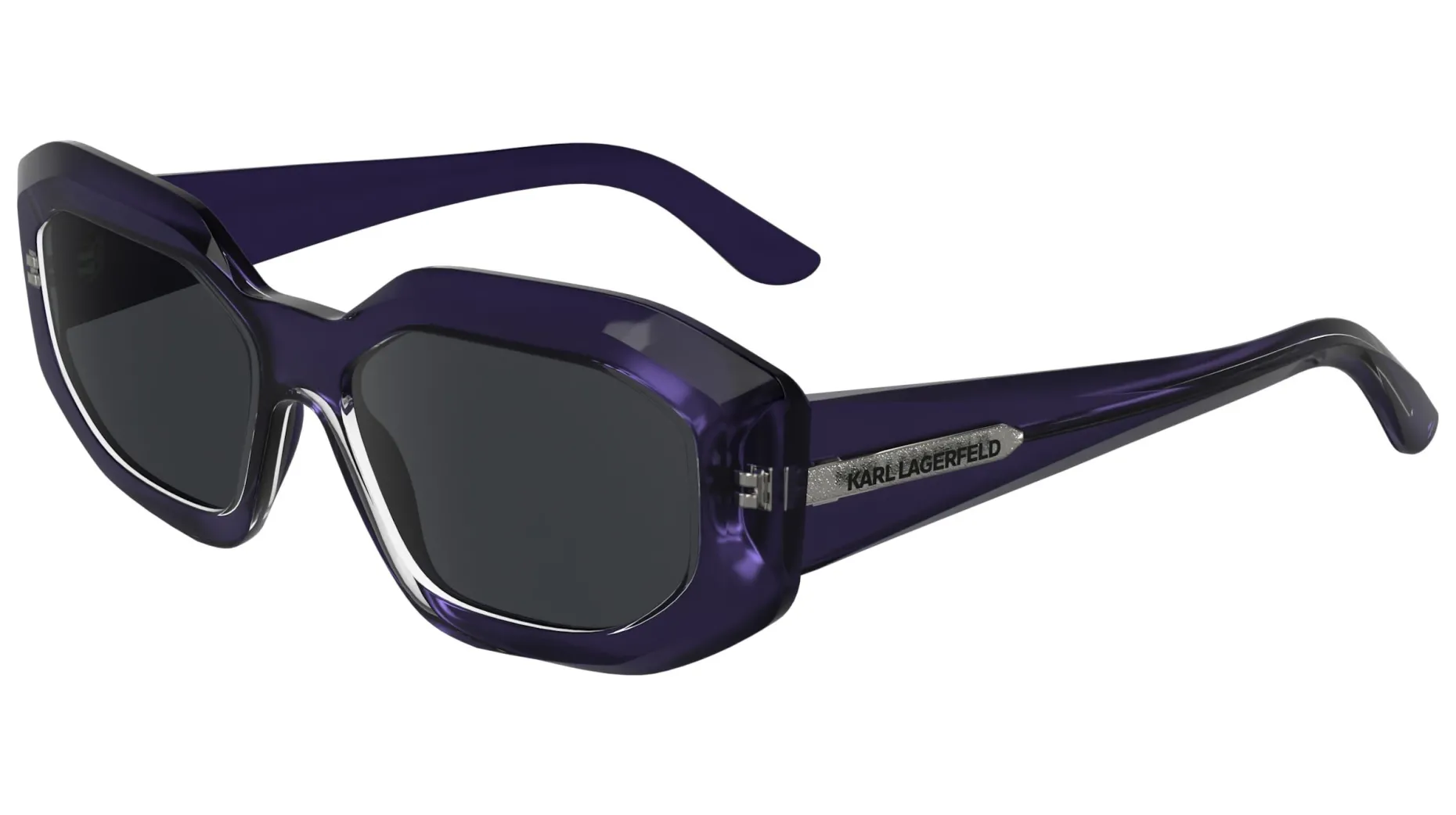 Gafas de sol Karl Lagerfeld KL6167S