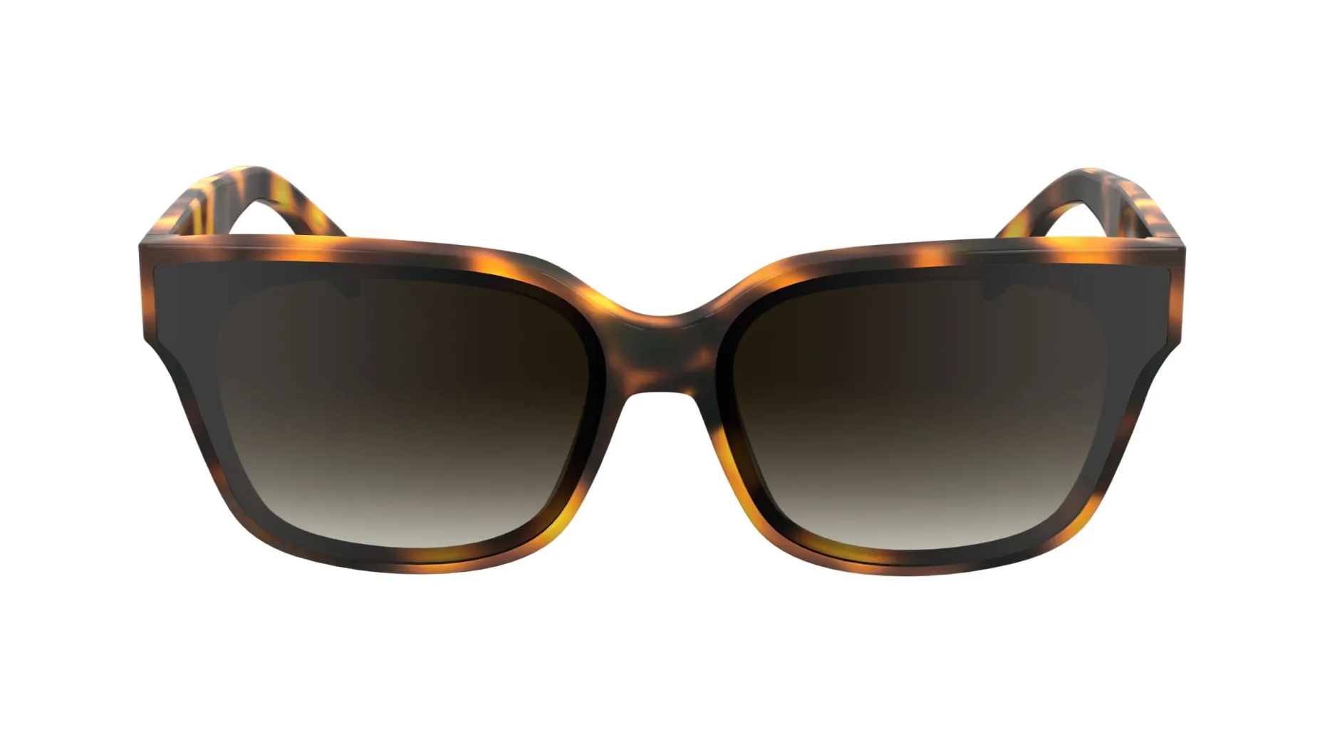 Gafas de sol Karl Lagerfeld KL6161S