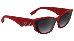 Gafas de sol Karl Lagerfeld KL6162S