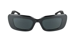 Gafas de sol Karl Lagerfeld KL6164S