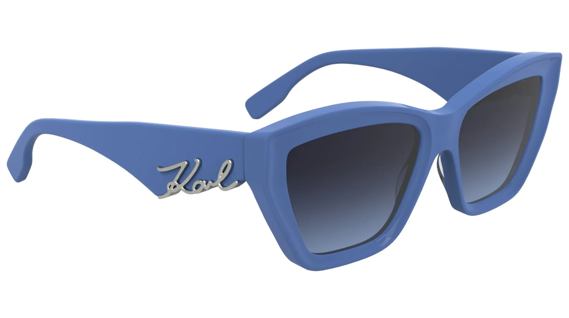 Gafas de sol Karl Lagerfeld KL6179S
