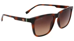 Gafas de sol Lacoste L6041S