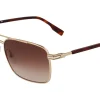 Gafas de sol Lacoste L264S