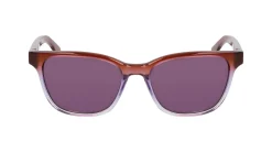 Gafas de sol Nike NIKE ECLIPSE SHADOW EV24047