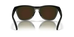 Gafas de sol Oakley FROGSKINS RANGE 0OO9284
