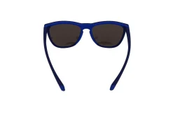 Gafas de sol Polaroid PLD2133/S