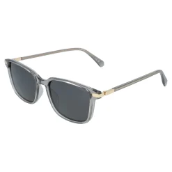 Gafas de sol Polaroid PLD 4169/G/S/X
