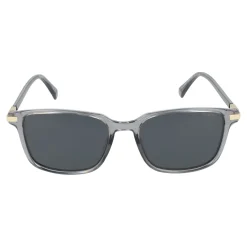Gafas de sol Polaroid PLD 4169/G/S/X