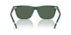 Gafas de sol Polo Ralph Lauren 0PH4205U