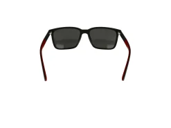 Gafas de sol Polo Ralph Lauren 0PH4189U