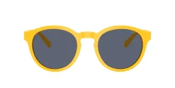 Gafas de sol Polo Ralph Lauren 0PH4192