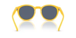Gafas de sol Polo Ralph Lauren 0PH4192