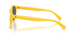 Gafas de sol Polo Ralph Lauren 0PH4192