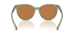 Gafas de sol Ralph Lauren 0RA5331U