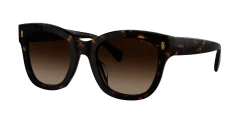 Gafas de sol Ralph Lauren 0RA5301U