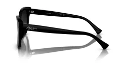 Gafas de sol Ralph Lauren 0RA5305U